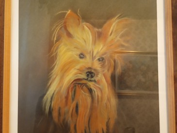 Pastel encadré petit chien